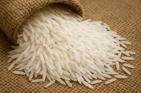 Premium basmati rice
